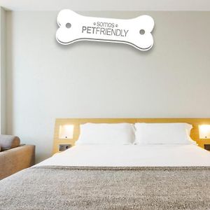 Kamer met een King Size Bed
